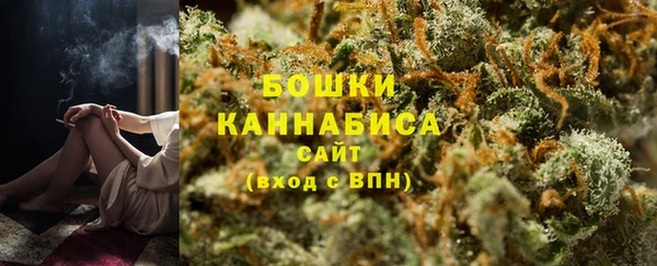 крисы Баксан