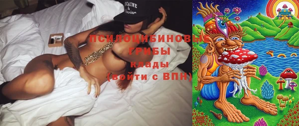 мдпв Белокуриха