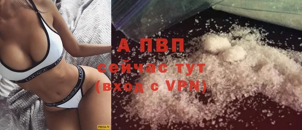 ПСИЛОЦИБИНОВЫЕ ГРИБЫ Новодвинск